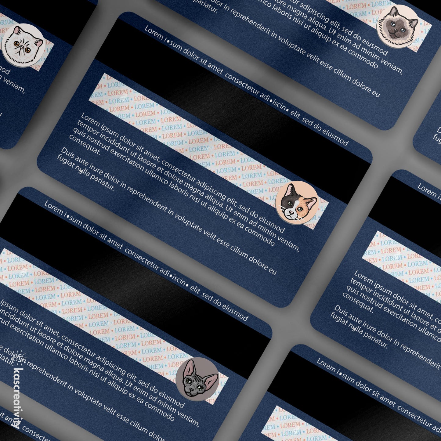 Cats Collection - CVV Stickers