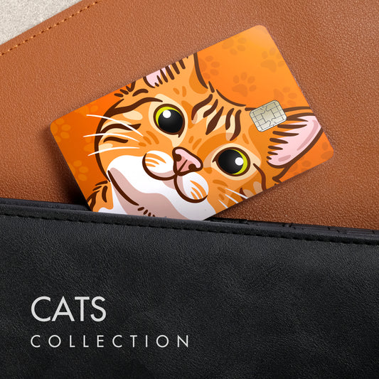 Cats Collection - Card Skin Stickers
